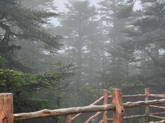 -峨眉山风景名胜区