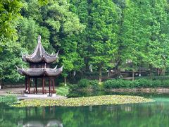 -忠山公园
