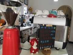 -树咖啡tree coffee