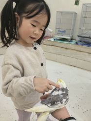 -Moni星球萌宠·小马宝莉·灵蛇·高端高阶全萌宠互动体验俱乐部(红豆国际广场店)