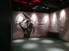 -威尔仕健身·游泳(KING88店)