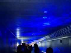-白鹤梁水下博物馆