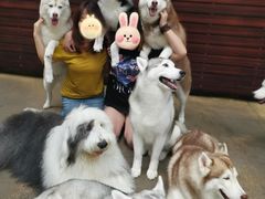 -TrueLove @ Neverland (Husky Cafe)