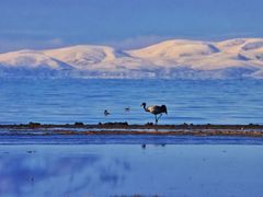 -青海湖国家重点风景名胜区