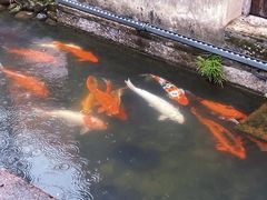 -前童古镇