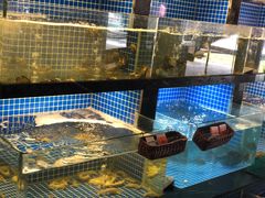 水产区-东门头·江鲜小馆(新天地店)