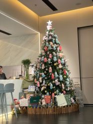 -MuseMarry婚纱(前海嘉里中心店)