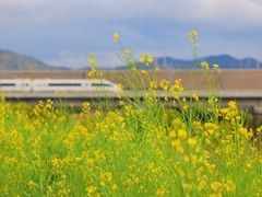 -光明小镇欢乐田园