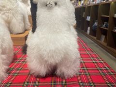 -方所(华润万象城店)