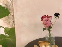 -HUATA 'Holiday Plan 花榻