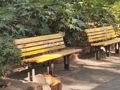 -VESH COFFEE(定西路店)