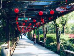 -白马涧龙池景区