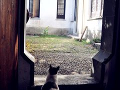 -小雅青年旅舍(平江路店)