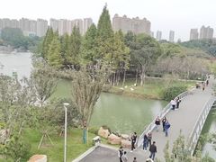 -青枫公园