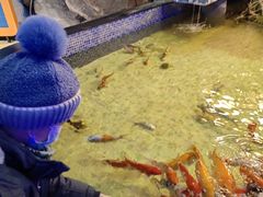 -烟台海昌鲸鲨海洋公园