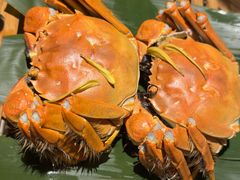 -成隆行·蟹王府(九江路店)