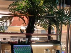-大头椰·椰子鸡火锅(南宁万象城店)