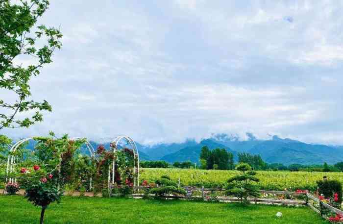 太阳葡萄小镇-"可能遇上五一假期,餐厅里有些混乱,没有热.