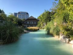 -上海吴淞炮台湾国家湿地公园