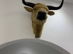 -黄牛肉馆·皖南土菜