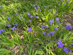 -北京西山国家森林公园