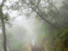 -黄埔油麻山森林公园
