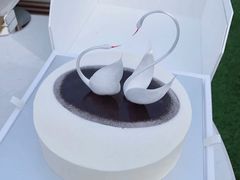 -BLACKSWAN黑天鹅(环球店)