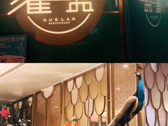 门面-雀蓝川菜(星悦汇店)