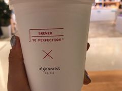 -代数学家algebraist(诚品店)