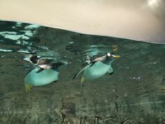 -成都浩海立方海洋公园