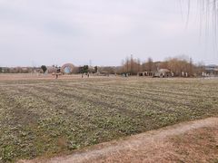 -广富林郊野公园
