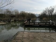 -西溪国家湿地公园