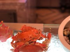 梭子蟹-盛宴标帜餐厅·亲子自助 (南昌喜来登酒店)