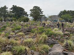 -柱状节理带