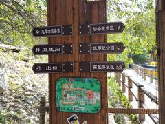 -北京鹿世界主题园