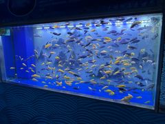 -大明湖海底世界