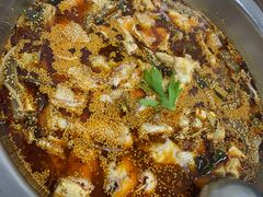 -川渔居—鱼火锅(八方汇店)