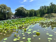 -三忘湖 SWANSEEN(柳荫公园店)