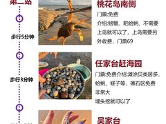 -巧克力渔家.小船海鲜胶东菜(万平口店)