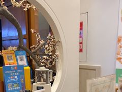 -不凡脑禅境·养生·舒压调理SPA(华发世纪城店)