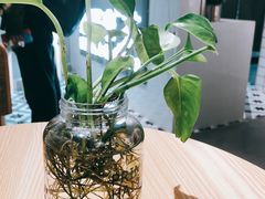-素匠泰茶(三里屯SOHO工体奶茶店)