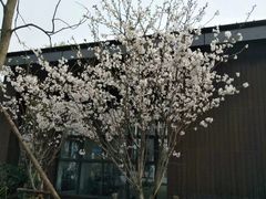 -昆山城市生态森林公园