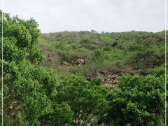 -白河湾生态旅游一条川
