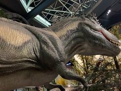 -湖南省地质博物馆