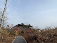 -广富林郊野公园