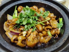 -瑞记湛江鸡饭店·粤西第一鸡(粤垦店)