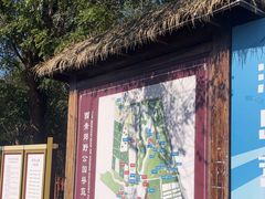 -西青郊野公园