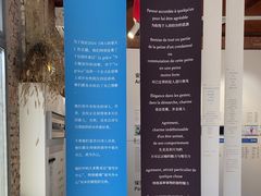 -贰柒松针包子