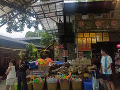 -桃姐农庄老字号(增城分店)