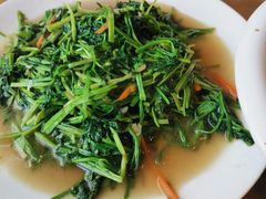 -悠悠美食